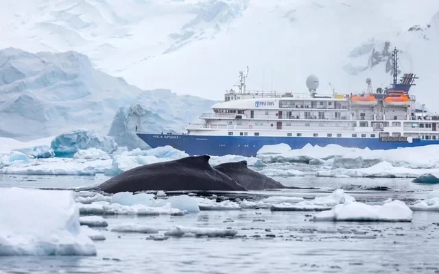 M/V Sea Spirit expedition ship in Antarctica operated by Poseidon Expeditions